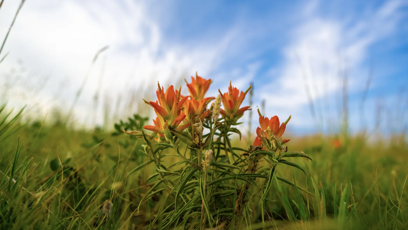 Paint Mines Prairie Fire, Colorado